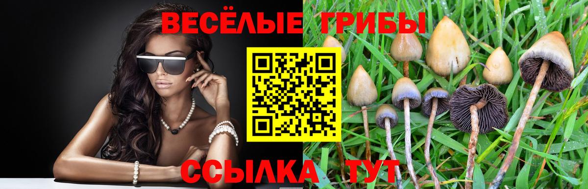 Галлюциногенные грибы GOLDEN TEACHER  Вход с VPN  Фролово 